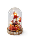 LED Mushroom Decoration in Red and Natural, view 1